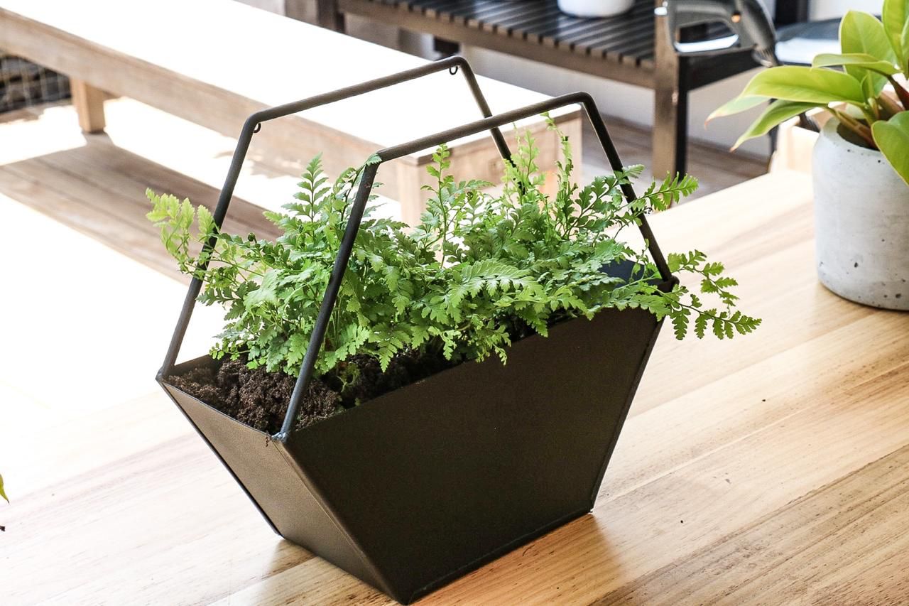 The Hexa Planter (set of 3)