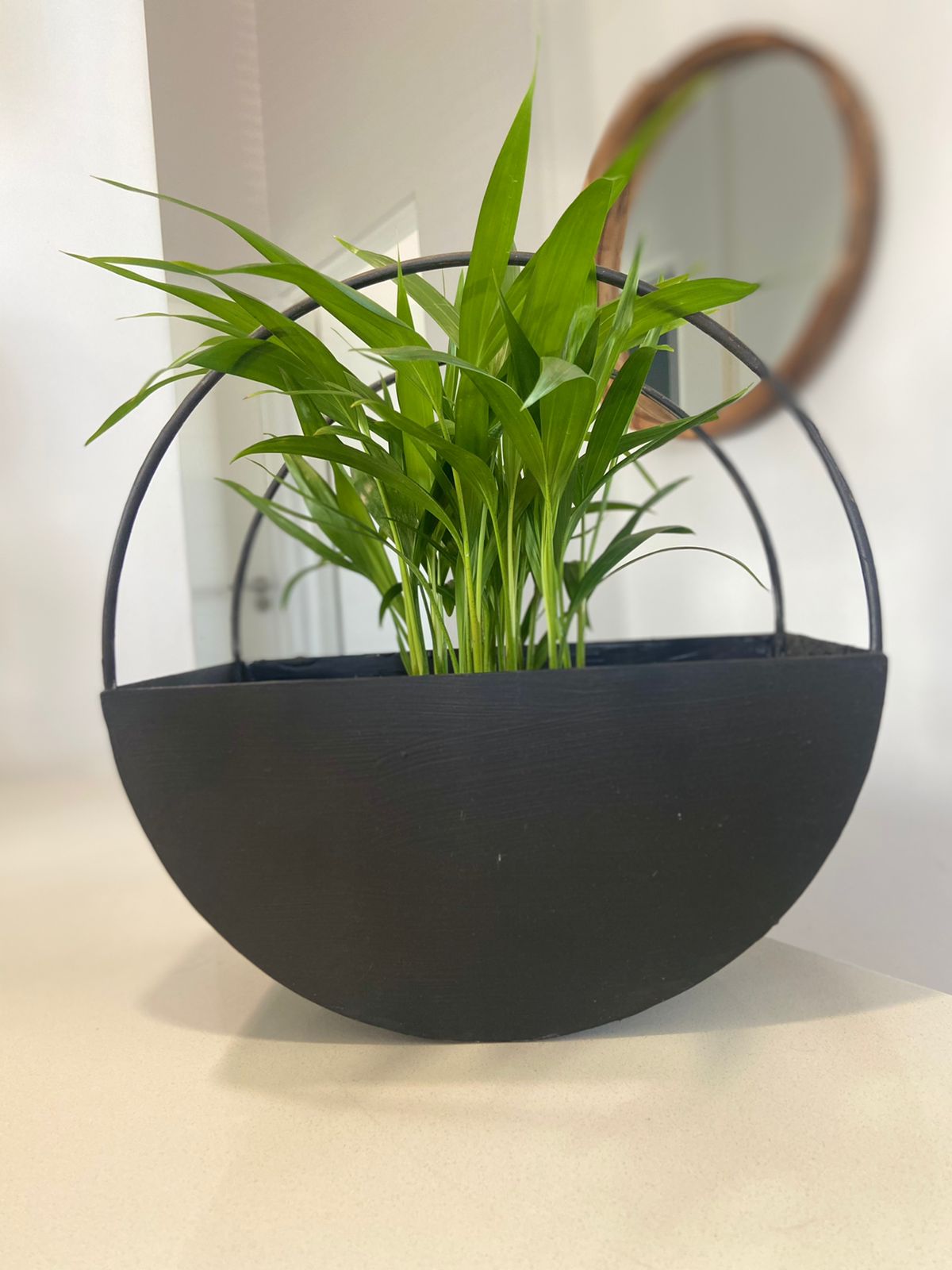 The Hoop Planter (set of 3)