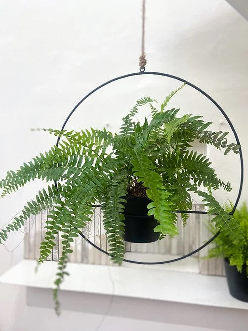 The Ring Planter