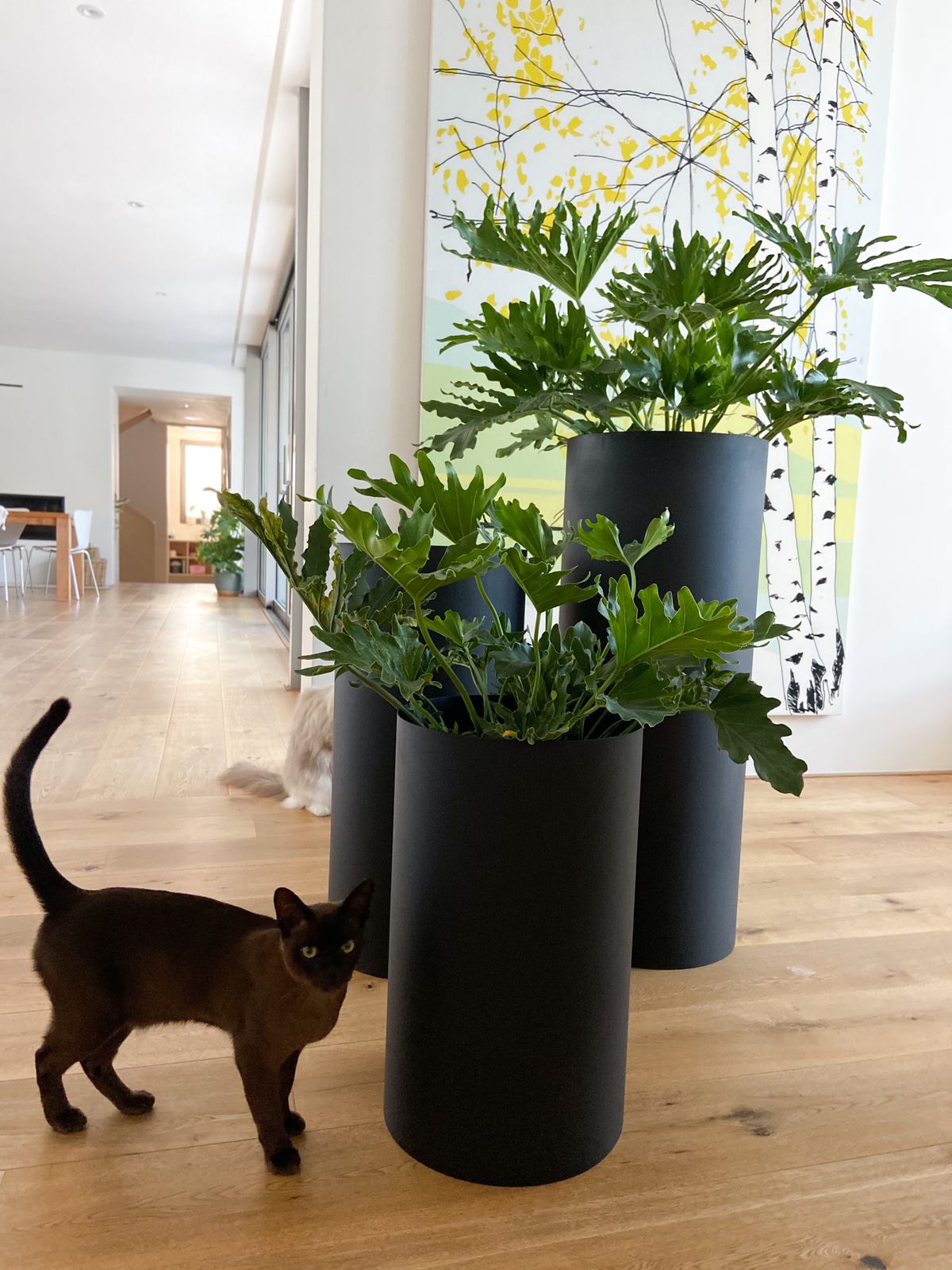 Drum Planter