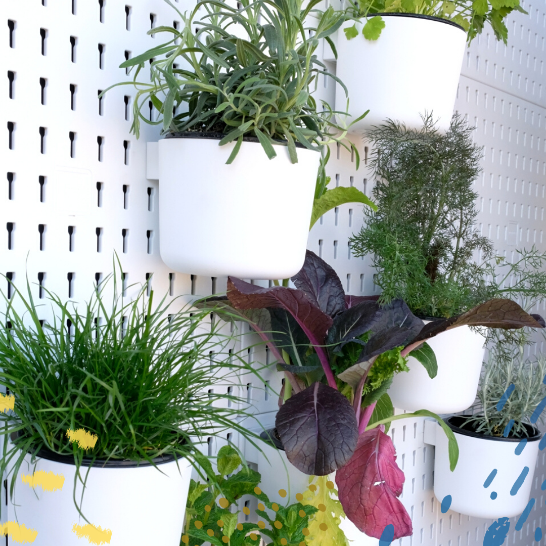 The Living Wall Kit - Pegboard Organisational System