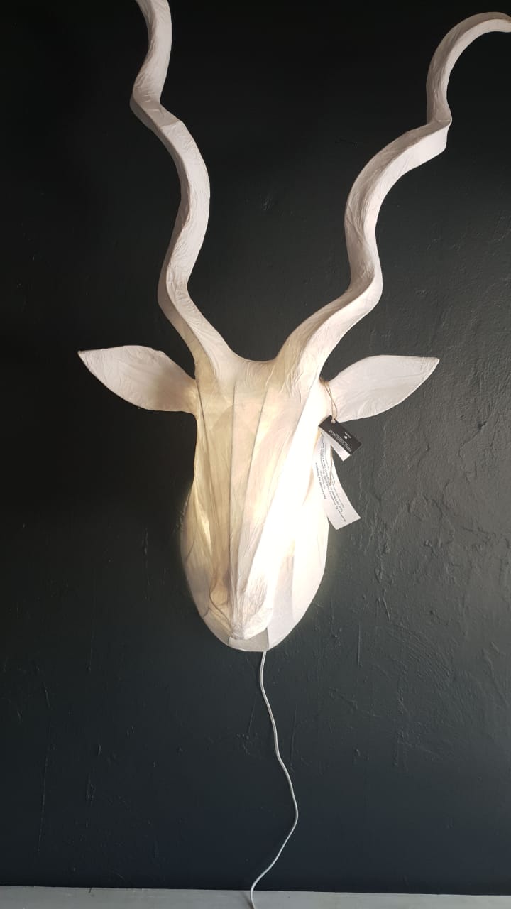 Kudu Light