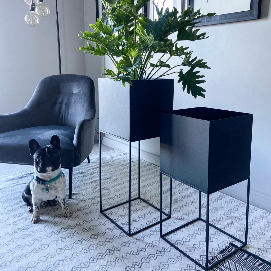 The Standing Cube Planter