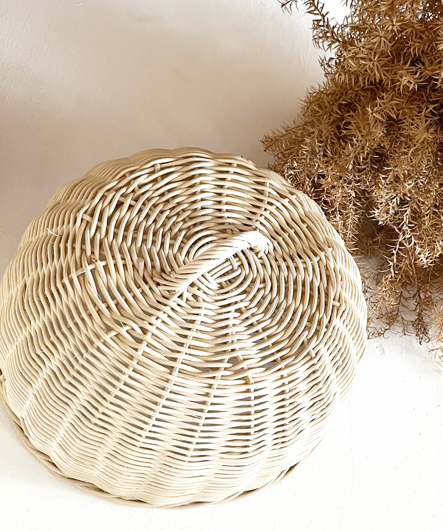 Cane Food Cover/Dome - Medium