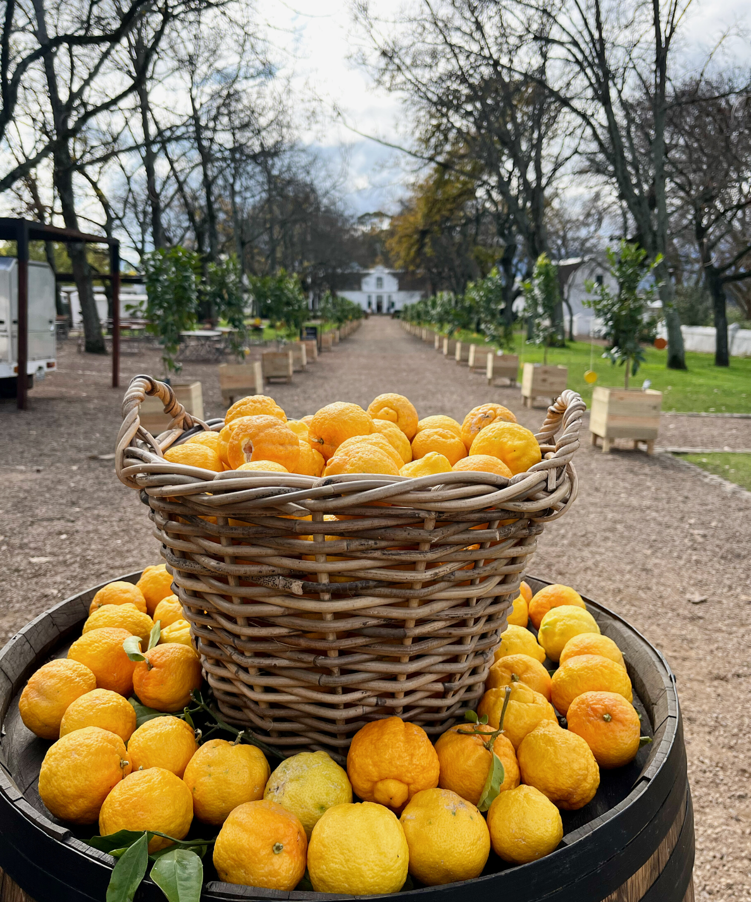Traditional Boessel Basket - Small